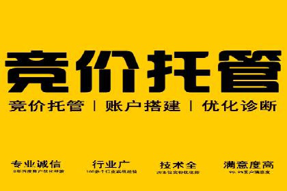 SEM托管代运营案例解析：ROI大幅提升的秘诀